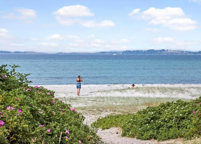 8486-ebeltoft-spovevej-4